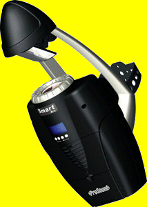 INS SMART ARC 2008.gif (24129 bytes)
